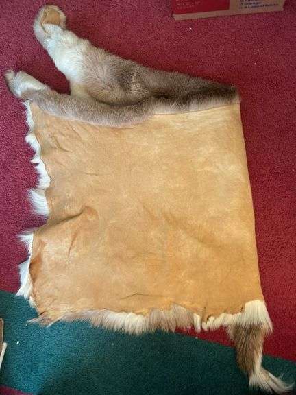 Whitetail deer skin