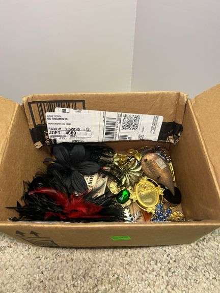 Assortment of Broaches/Pins