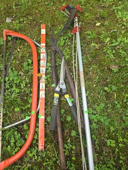 Assortment of Tree Trimmers and Pruners
