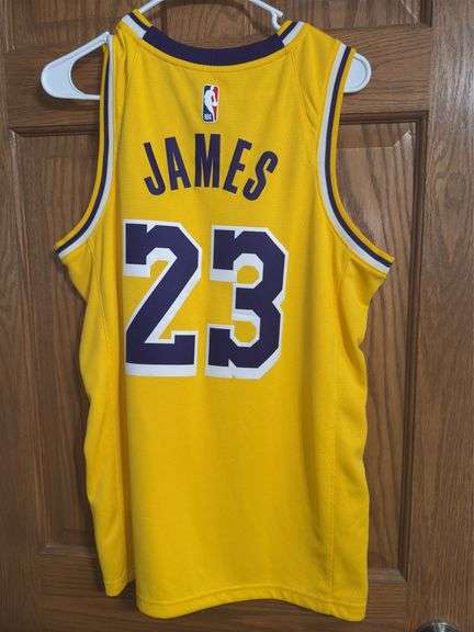 LeBron James Los Angeles Lakers Swingman Jersey (Size 44/M)