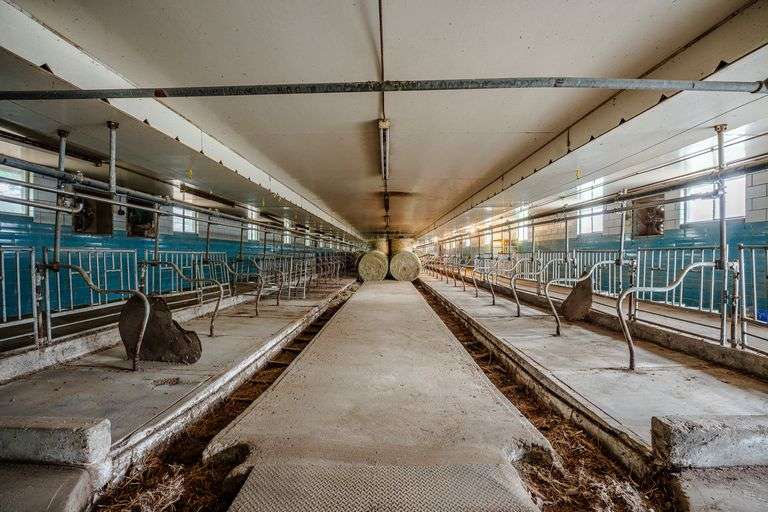 Iconic Dover Ohio 176.5 Acre Farm