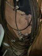 Roll of Steel Cable