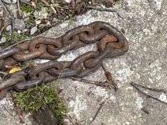 Towing Chains