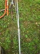 Assortment of Tree Trimmers and Pruners