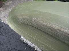 Lifetime Tamarack Plastic Canoe w/ Paddle