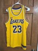 LeBron James Los Angeles Lakers Swingman Jersey (Size 44/M)
