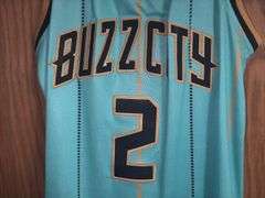 Lamelo Ball Charlotte Hornets “Buzz City” Swingman Jersey (Size 48)