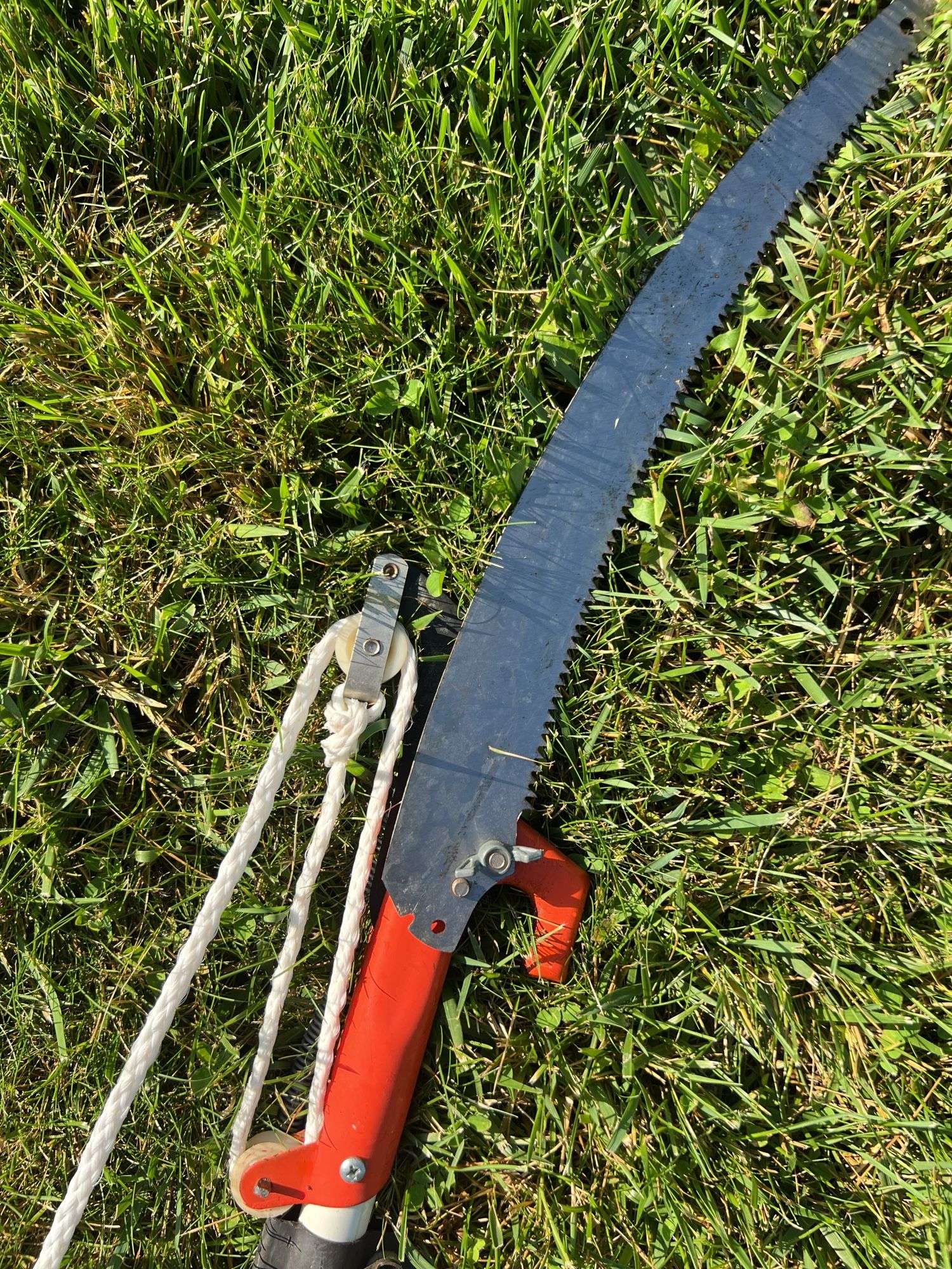 Pole Saw
