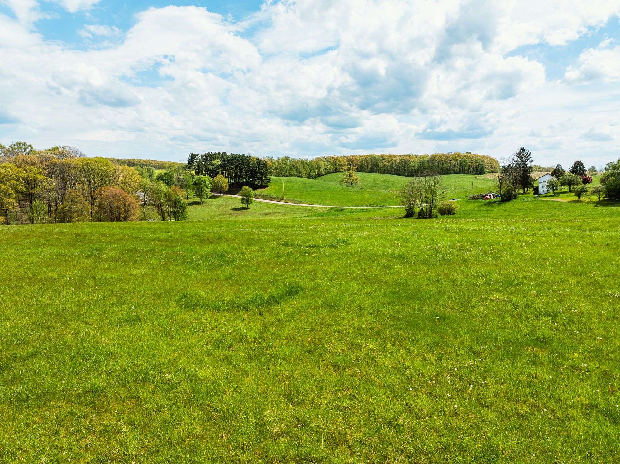 5.5 Acres, 403 ft frontage, Building Site