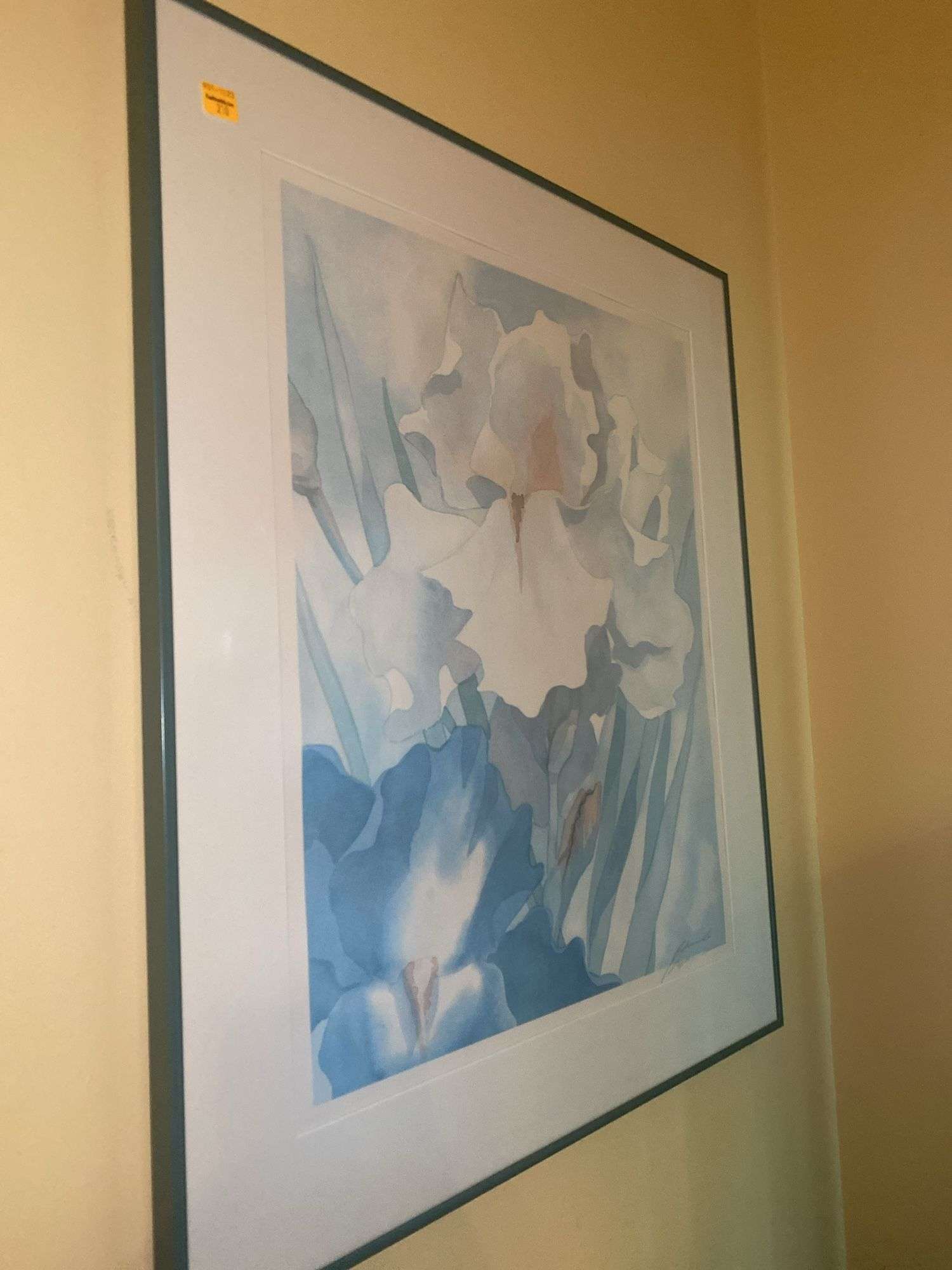 Framed Water Color Floral Artwork