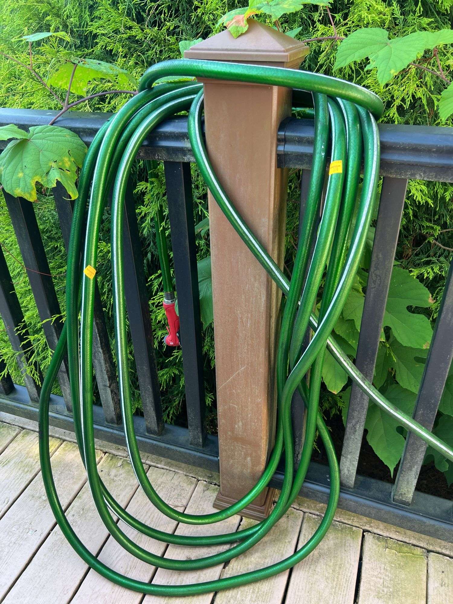 Water Hose and Sprayer