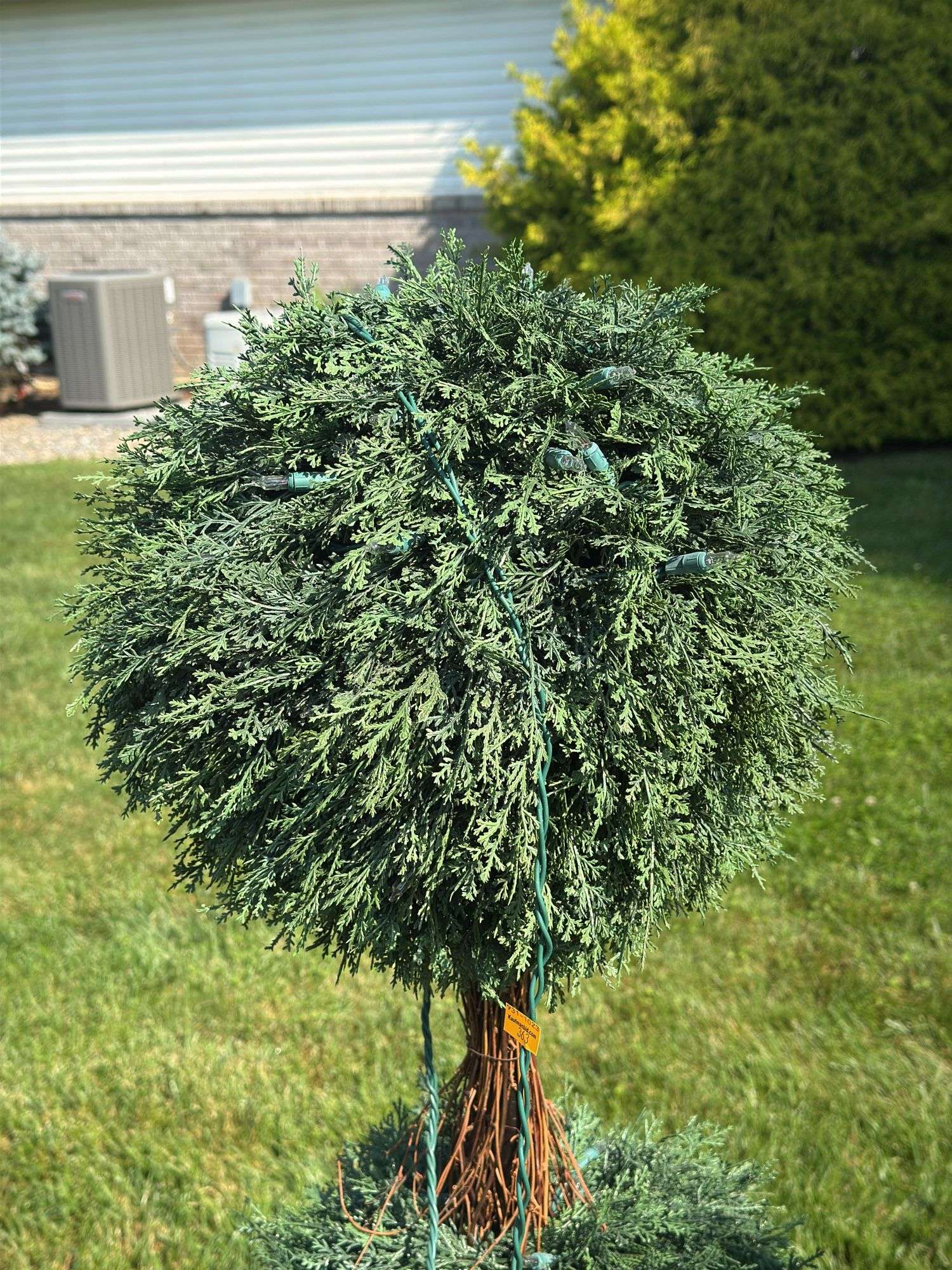 (2) Decorative Christmas Trees