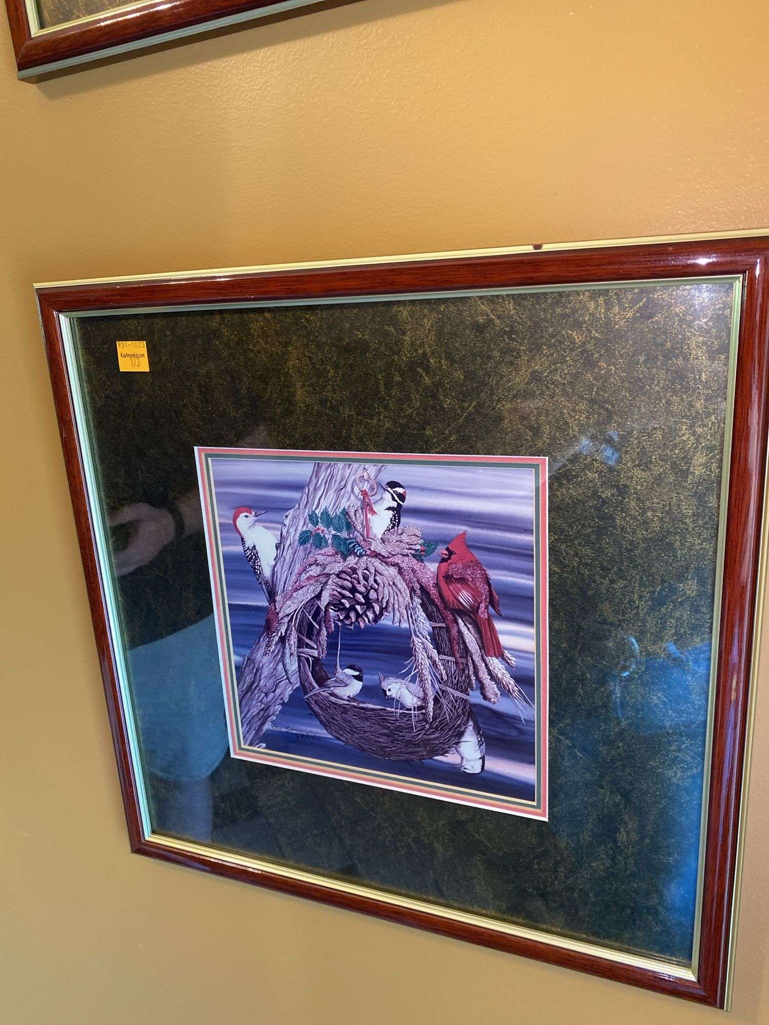 (3) Framed Bird Prints