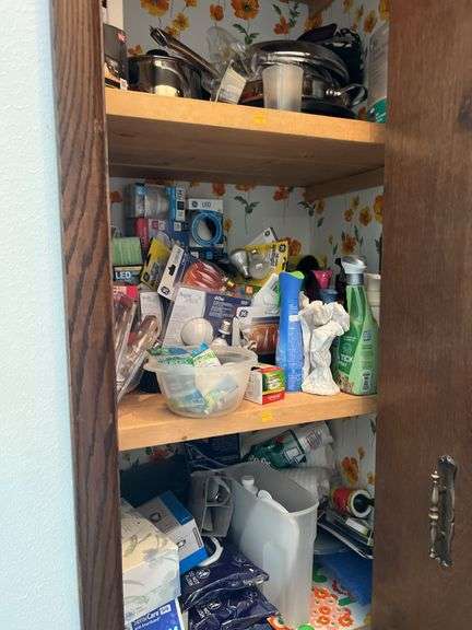 Contents of Hall Closet