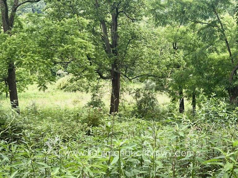 Marion County WV Home, Shop, Garage on 9+/- Acres