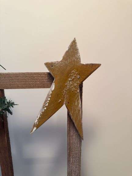PRE-LIT CHRISTMAS CARDINAL DECOR