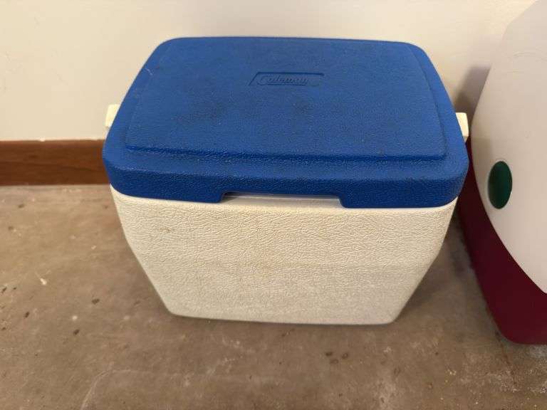 VARIETY OF LUNCH BOXES/BAGS
