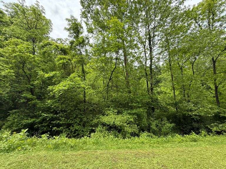 50.72 acres of recreational land