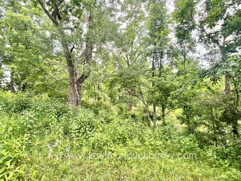 Marion County WV Home, Shop, Garage on 9+/- Acres