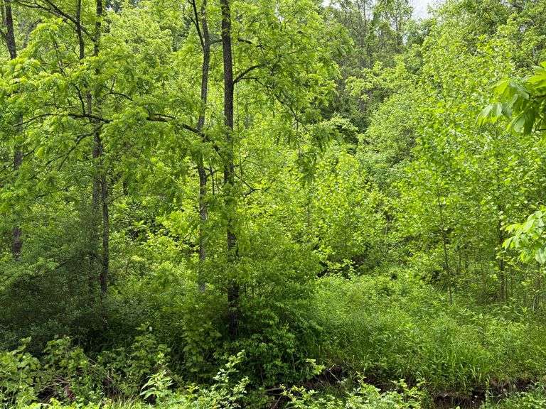 50.72 acres of recreational land