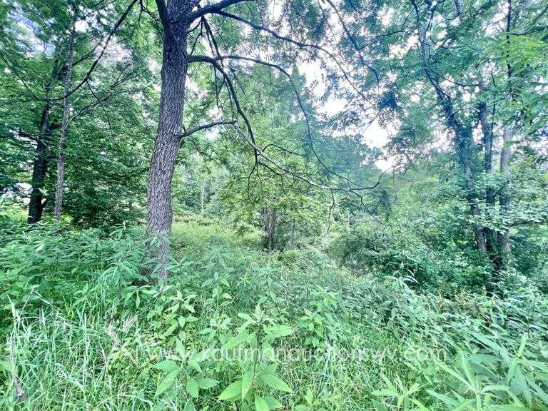 Marion County WV Home, Shop, Garage on 9+/- Acres