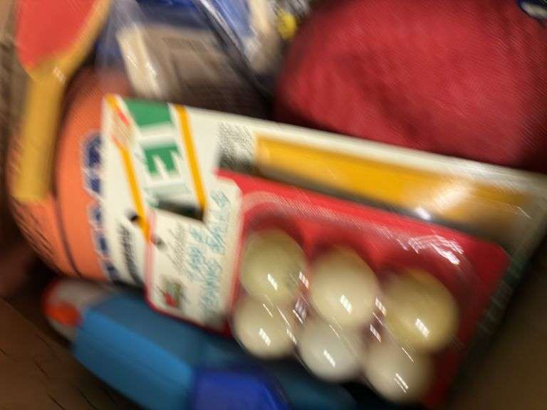 SPORTS BALLS, WATER GUNS, PING PONG ACCESSORIES, AND MORE