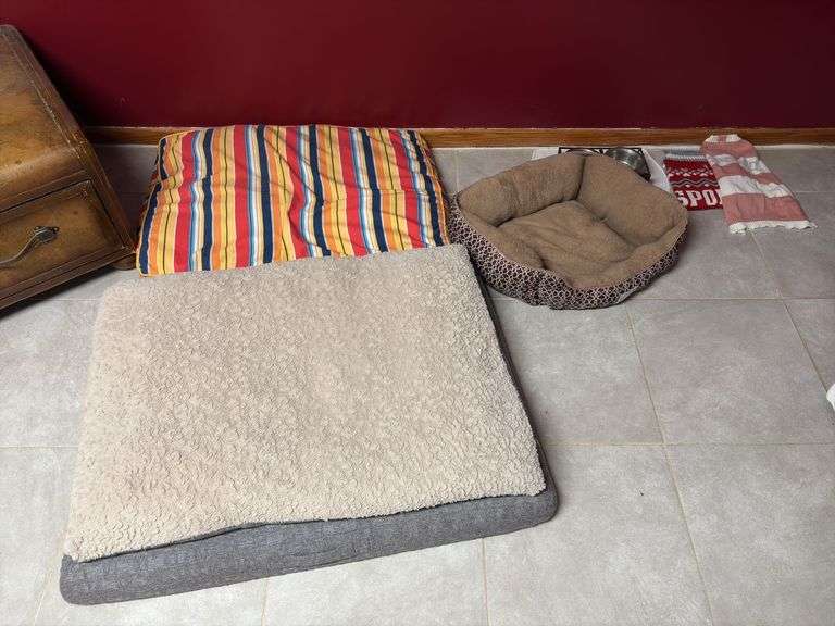 Dog beds, dog bowls, and dog outfit