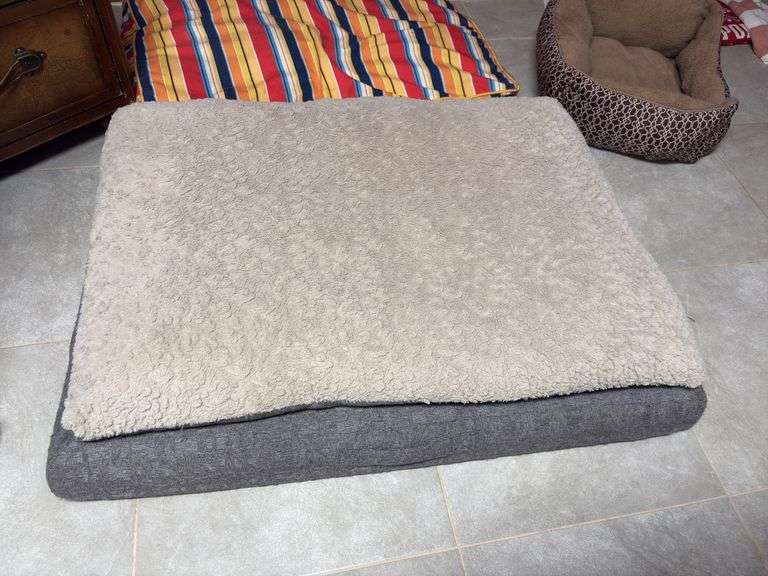 Dog beds, dog bowls, and dog outfit