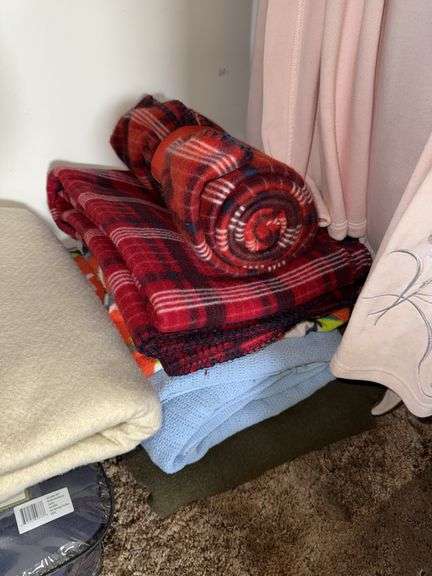 CONTENTS OF CLOSET INCLUDING CLOTHES (BOTH NEW AND BARELY WORN, BLANKETS, ALL PICTURED ITEMS