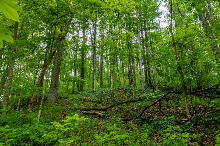6.76 Acres