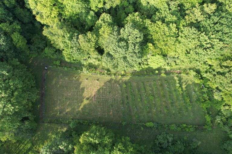 41.97 +/- acres surface with 79.85 +/- acres oil and gas rights, modern farmhouse