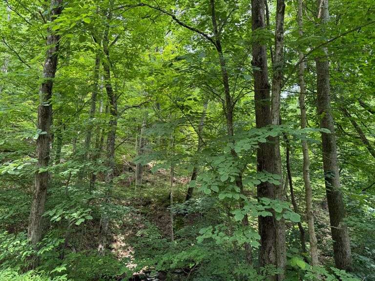 50.72 acres of recreational land