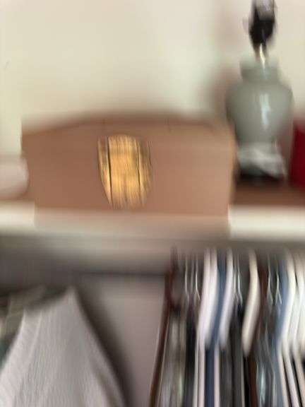 CONTENTS OF CLOSET INCLUDING CLOTHES, HANGERS, LAMP, MONEY BOX, TOTE/CONTENTS