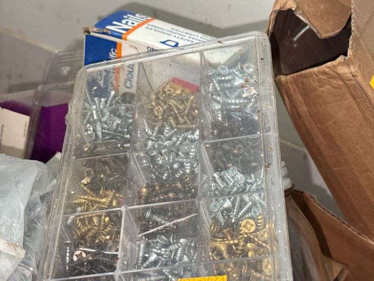Assortment of Nails and Screws