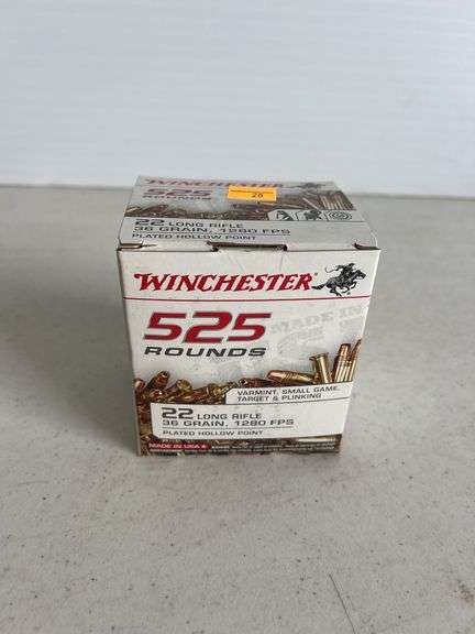 Winchester 22LR 36 Grain