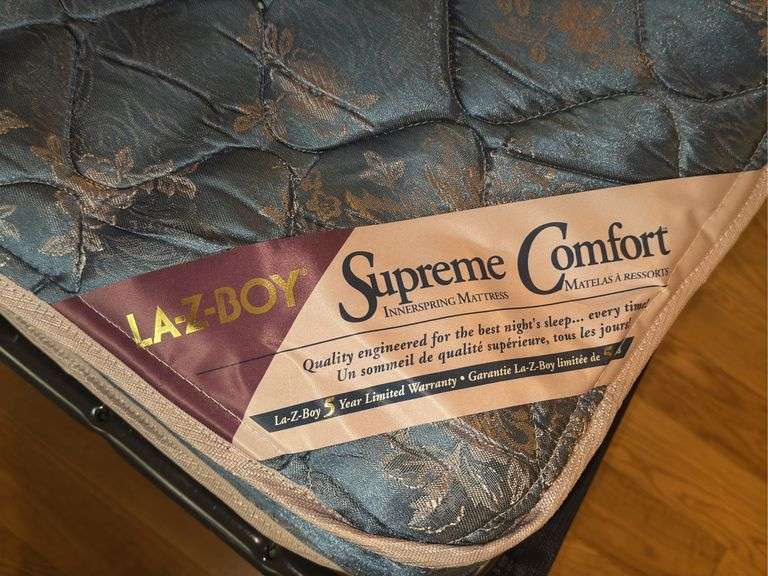 La-Z-Boy Sleeper Sofa