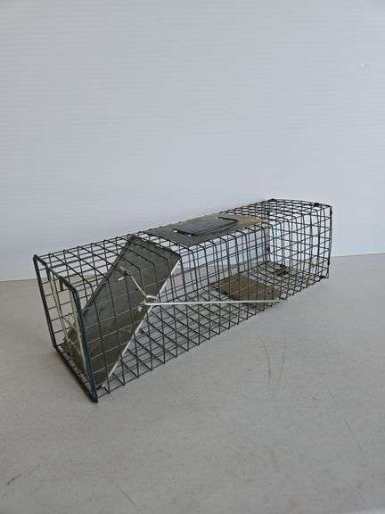 Live animal trap