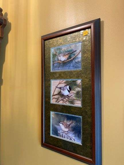 (3) Framed Bird Prints