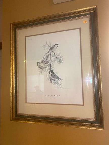 Black-Capped Chickadee Framed Picture by Don Whitlatch 66/1000