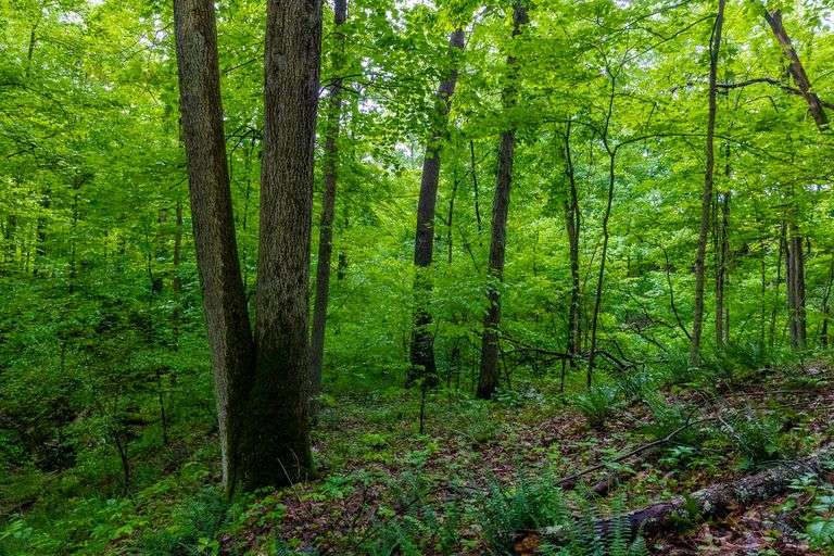 12 Acres