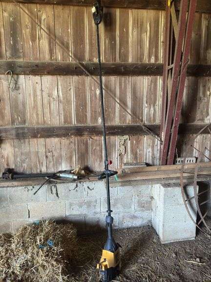 Poulan PRO Pruner