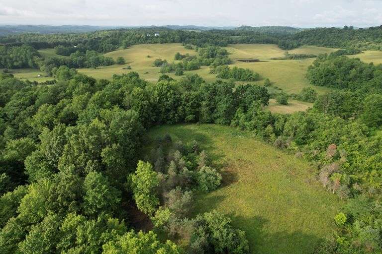 41.97 +/- acres surface with 79.85 +/- acres oil and gas rights, modern farmhouse