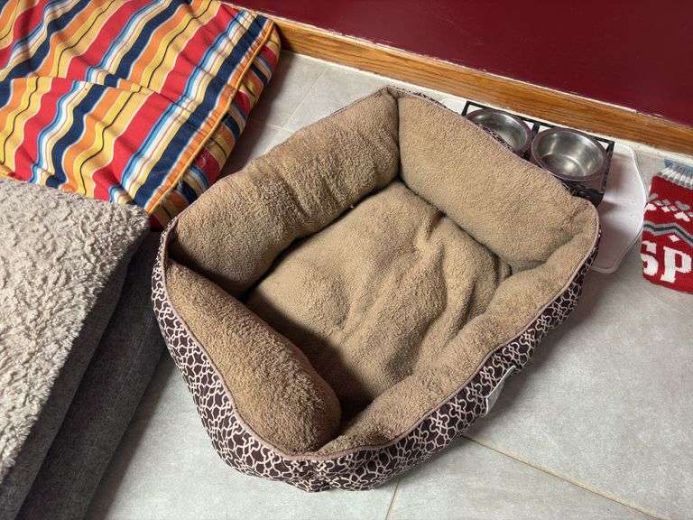 Dog beds, dog bowls, and dog outfit