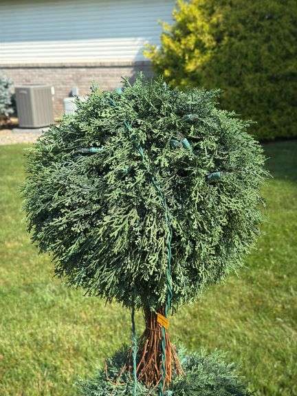 (2) Decorative Christmas Trees