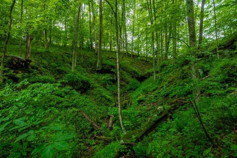 12 Acres