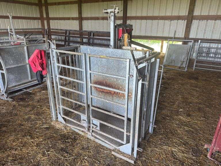 Sheep Chute with lift & scales