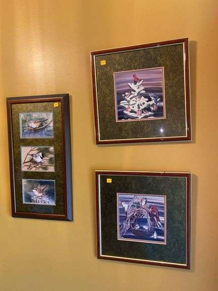 (3) Framed Bird Prints