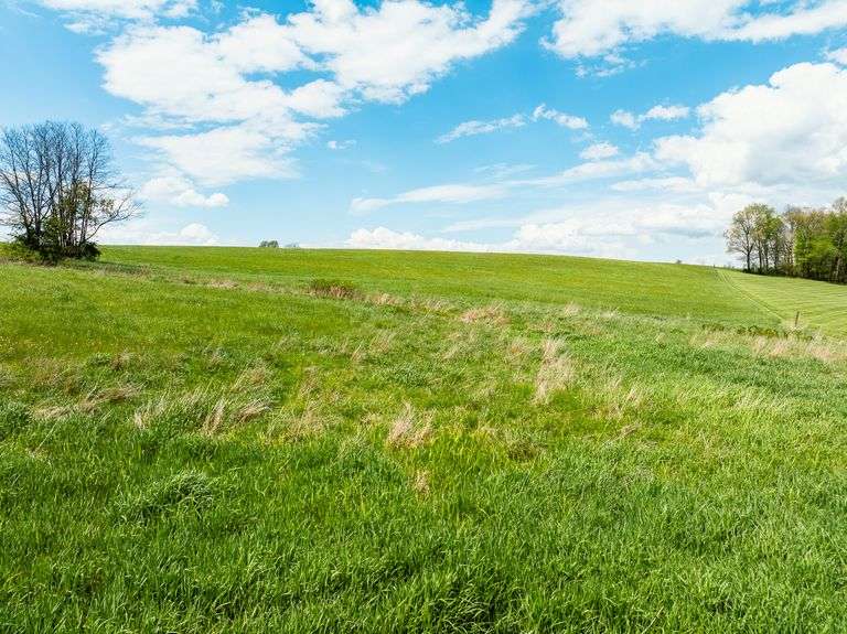 5.5 Acres, 403 ft frontage, Building Site