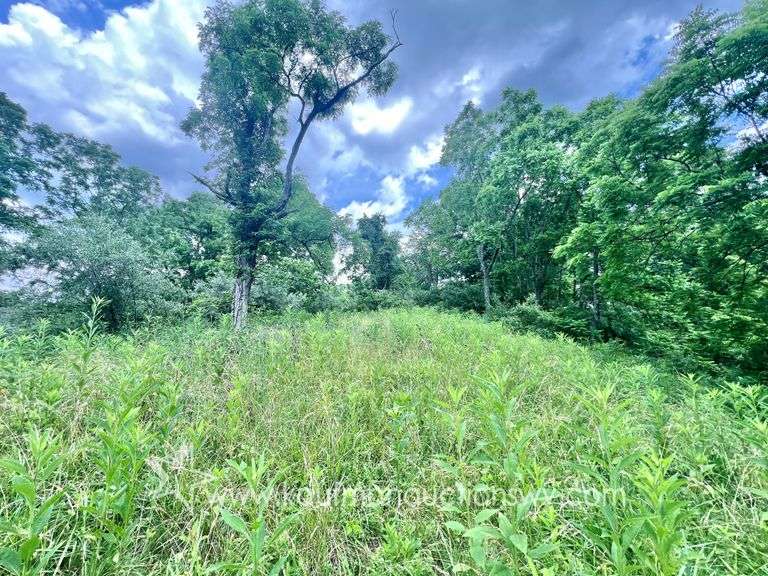 Marion County WV Home, Shop, Garage on 9+/- Acres