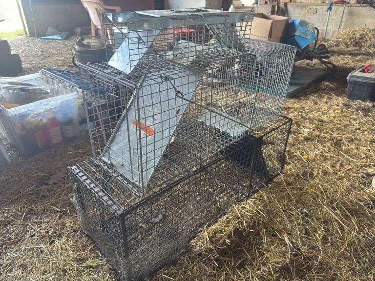 Assorted Live Traps